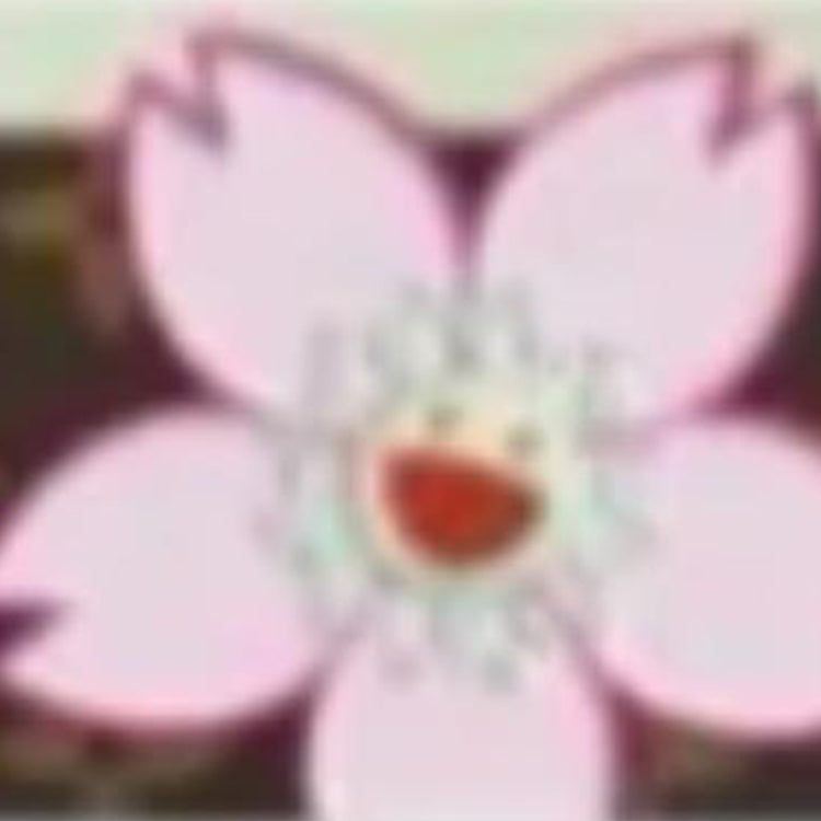 LOUIS VUITTON X Takashi Murakami Card Holder Sakura Brown