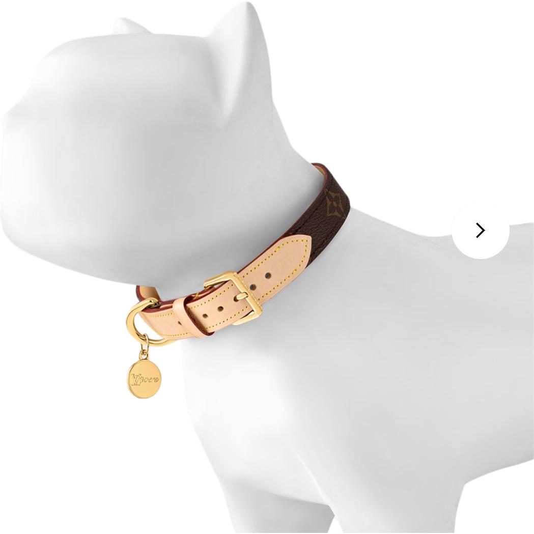 LOUIS VUITTON Dog / Cat Collars