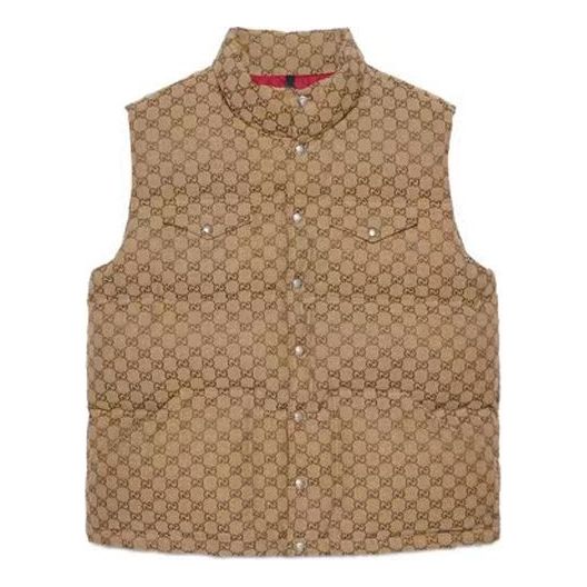 Gucci x The North Face Down Vest 'Beige Ebony' 670768-Z8APY-2190