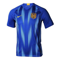 Men's Nike Home Fan Edition Logo Embroidered Round Neck Soccer/Football Casual Sports Short Sleeve Blue T-Shirt AR4698-480