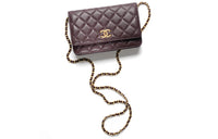 CHANEL Crossbody Bags