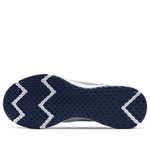 Nike Revolution 5 'Pure Platinum Thunder Blue' BQ3204-018