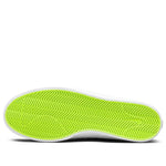 Nike Shane SB 'Gorge Green' BV0657-304