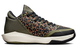 Converse All Star BB Jet 'Archive Print - Leopard' 172176C