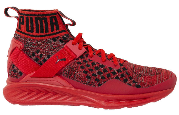 PUMA Ignite EvoKnit 'Red' 189697-10