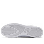 Nike Court Royale AC 'LT Smoke Grey' BQ4222-105