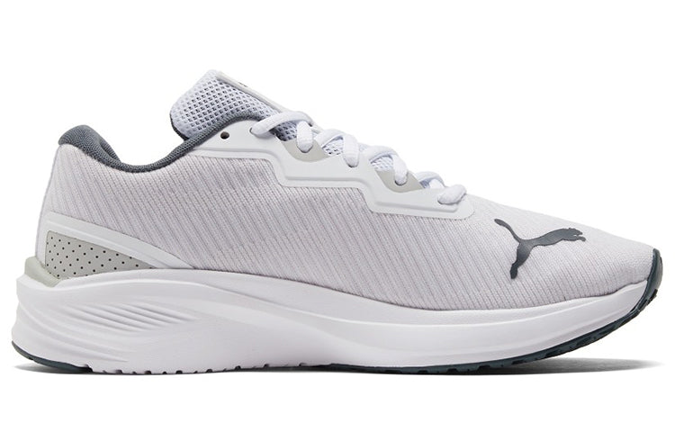 PUMA Aviator ProFoam Sky 'White Dark Slate' 376615-04