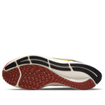 Nike Air Zoom Pegasus 38 'Ekiden Zoom Pack' DO2423-739