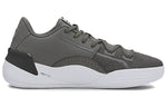PUMA Clyde Hardwood Team 'Castlerock' 194454-03