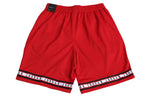 Air Jordan DRI-FIT Men Basketball Short Red AJ1109-687
