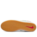 Nike Ishod Wair Premium SB 'Pistachio' DM0752-001