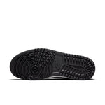 Air Jordan 1 Low Golf 'Shadow' DD9315-001