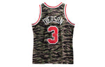 Mitchell & Ness NBA SW 96-97 76 3 SMJYBW19092-P76CAMO00AIV