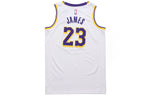 Nike NBA Leborn James Los Angeles Lakers 2020 Association Swingman Jersey #23 CW3595-101
