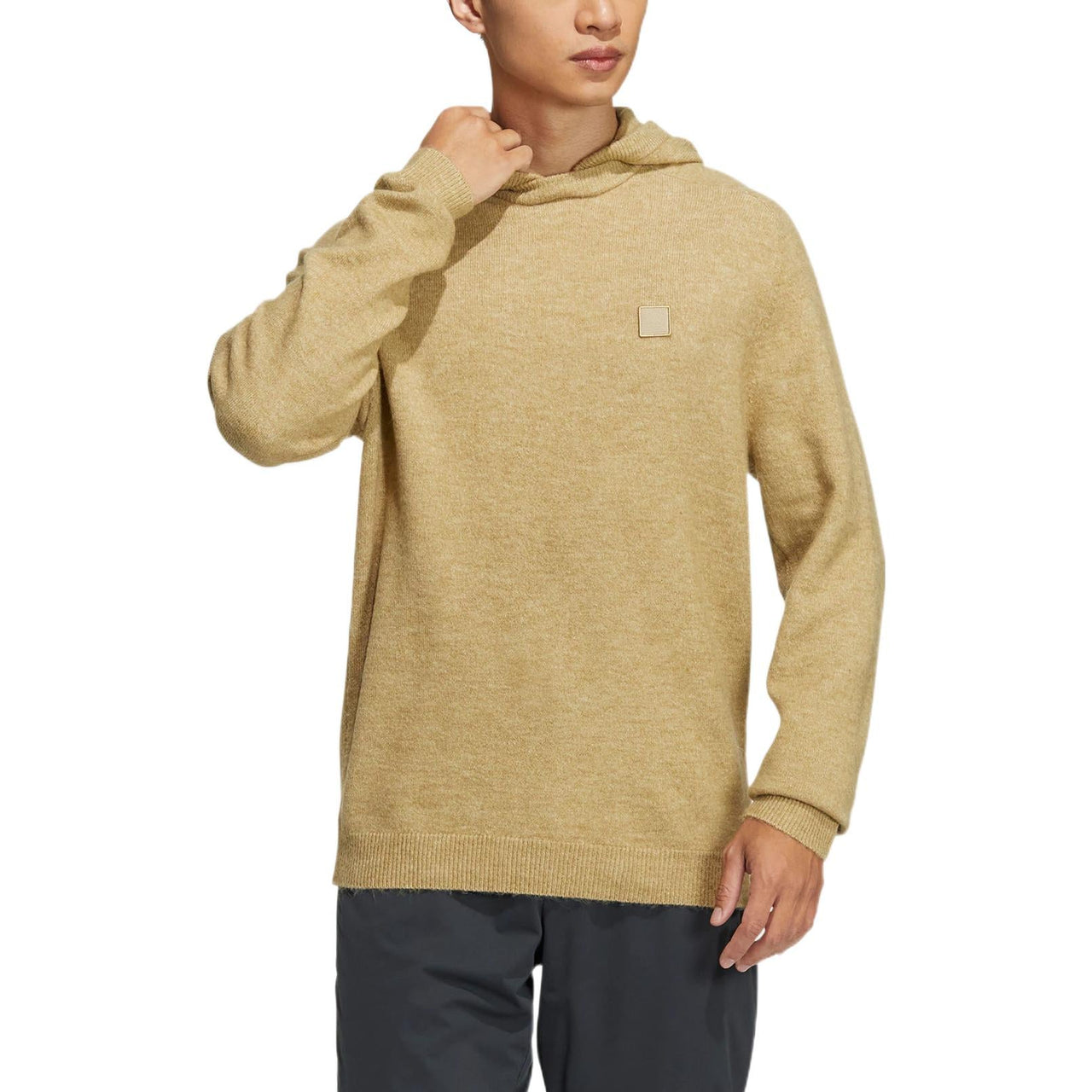 Men's adidas Gt Wool Hd Embroidered Label Logo Hooded Long Sleeves Khaki HG3263