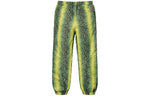 Supreme SS18 The North Face Snakeskin Taped Seam Pant Green SUP-SS18-387