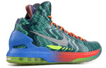 Nike KD 5 Premium 'What The KD' 598601-400