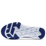 Nike Flex Control 3 'Wolf Grey Deep Royal Blue' AJ5911-004