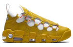 (WMNS) Nike Air More Money 'Meant to Fly' AO1749-300