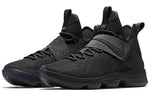Nike LeBron 14 LMTD EP 'Anthracite Anthracite' 852403-002
