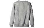 PUMA Big Logo Round Neck Gray 855069-03