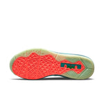 Nike LeBron 9 Low 'LeBronold Palmer' DO9355-300