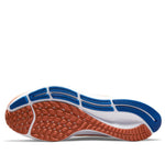 Nike Air Zoom Pegasus 38 'Florida' DJ0826-800