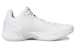 (WMNS) adidas Pro Bounce 2018 Low 'White Black' FW5748
