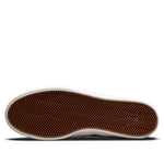 Nike Shane SB 'Multi' BV0657-303