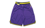 Nike NBA Statement DNA Los Angeles Lakers Basketball Training Sports Shorts Purple AV3537-504