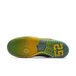 Nike Dunk Pro Low SB 'Doernbecher' 2018 BV8740-377