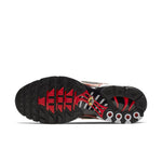 Nike Air Max Plus 'Script Swoosh' CK9392-100