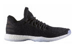 adidas Harden Volume 1 LS Primeknit 'Night Life' CG5107