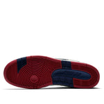 Nike SB Air Force 2 Low '76ers' AO0300-100