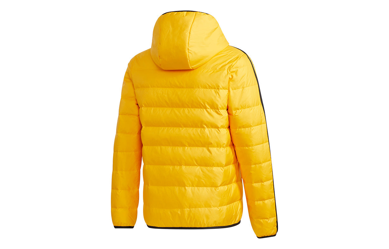 adidas neo M 3s Lwd Puff Sports hooded down Jacket Gold Color GJ8787