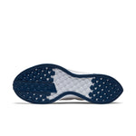 Nike Zoom Pegasus Turbo 2 'Grey Coastal Blue' AT2863-005
