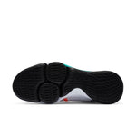 Nike LeBron Witness 5 EP 'Clear Jade' CQ9381-100