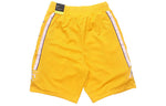 Nike NBA Los Angeles Lakers SW Fan Edition Basketball Shorts Yellow CD2625-728