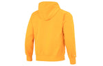 Nike As M Nk Df Std Iss Po S Logo DQ6104-886