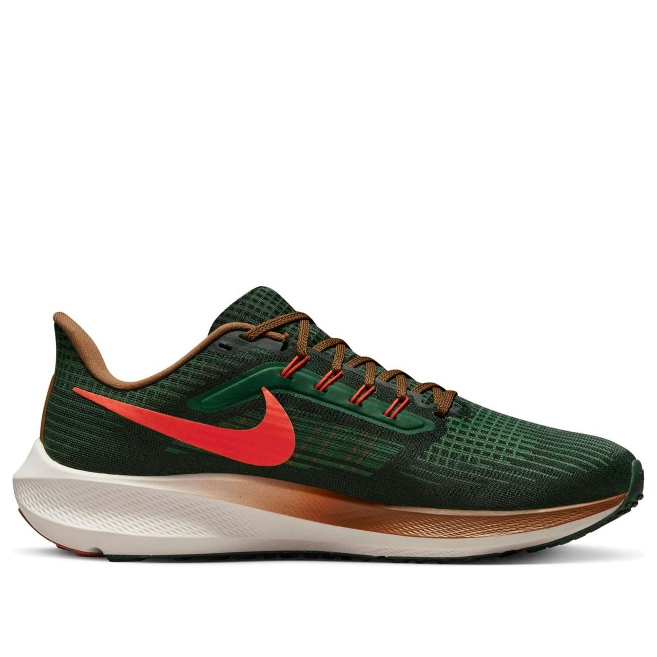 Nike x Hola Lou Air Zoom Pegasus 39 'A.I.R.' DO9500-300