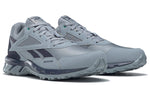 Reebok Ridgerider 5.0 'Meteor Grey' FW5275