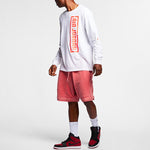 Air Jordan Wings Round Neck Basketball Sports Long Sleeves T-Shirt Men's White AT9071-100