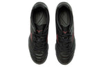 Mizuno Monarcida Neo II P1GD210500