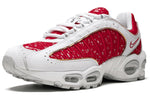 Nike x Supreme Air Max Tailwind 4 'University Red' AT3854-100