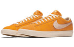 Nike Blazer Low SB GT 'Home State Georgia' 716890-816