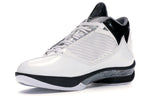 Air Jordan 2009 'White Metallic Silver' 343084-161