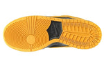 Nike SB Dunk Low Pro 'Iowa' 304292-706