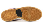 Nike x Concepts Dunk High Pro Premium SB 'When Pigs Fly' 554673-610