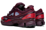 adidas Raf Simons x Ozweego 3 'Burgundy' B22538