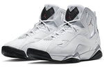 Air Jordan True Flight 'White Cement' 342964-104